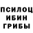 Галлюциногенные грибы прущие грибы PRO BJK