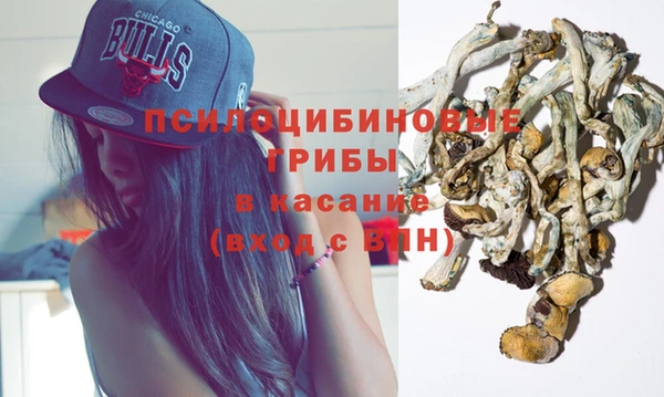 прущая мука Каменногорск