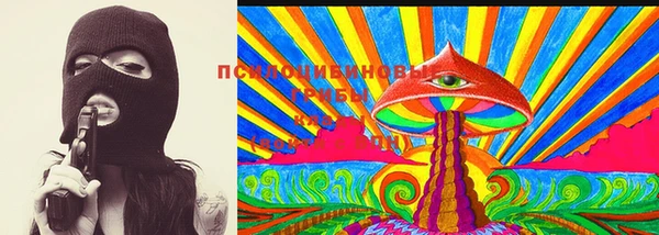 соль курить ск Каменка
