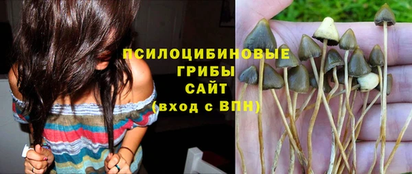 ПСИЛОЦИБИНОВЫЕ ГРИБЫ Каменск-Шахтинский