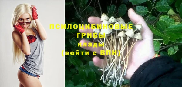 прущая мука Каменногорск
